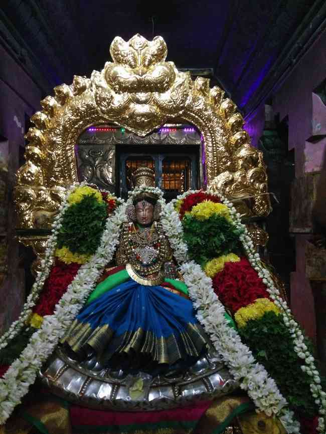 Thiruindhalur-Sri-Parimala-Ranganatha-Perumal_01