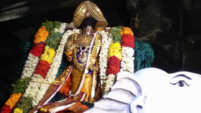Thiruindhalur-Sri-Parimala-Ranganatha-Perumal_04