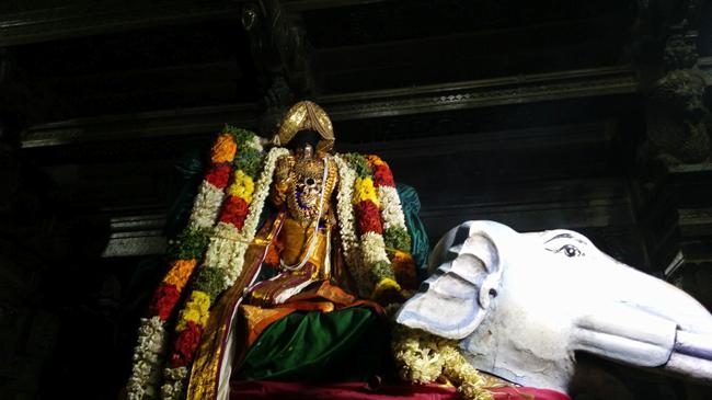 Thiruindhalur-Sri-Parimala-Ranganatha-Perumal_05