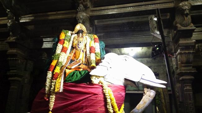 Thiruindhalur-Sri-Parimala-Ranganatha-Perumal_06