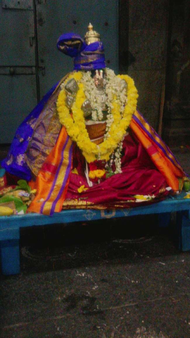 Thiruindhalur-Sri-Parimala-Ranganatha-Perumal_11