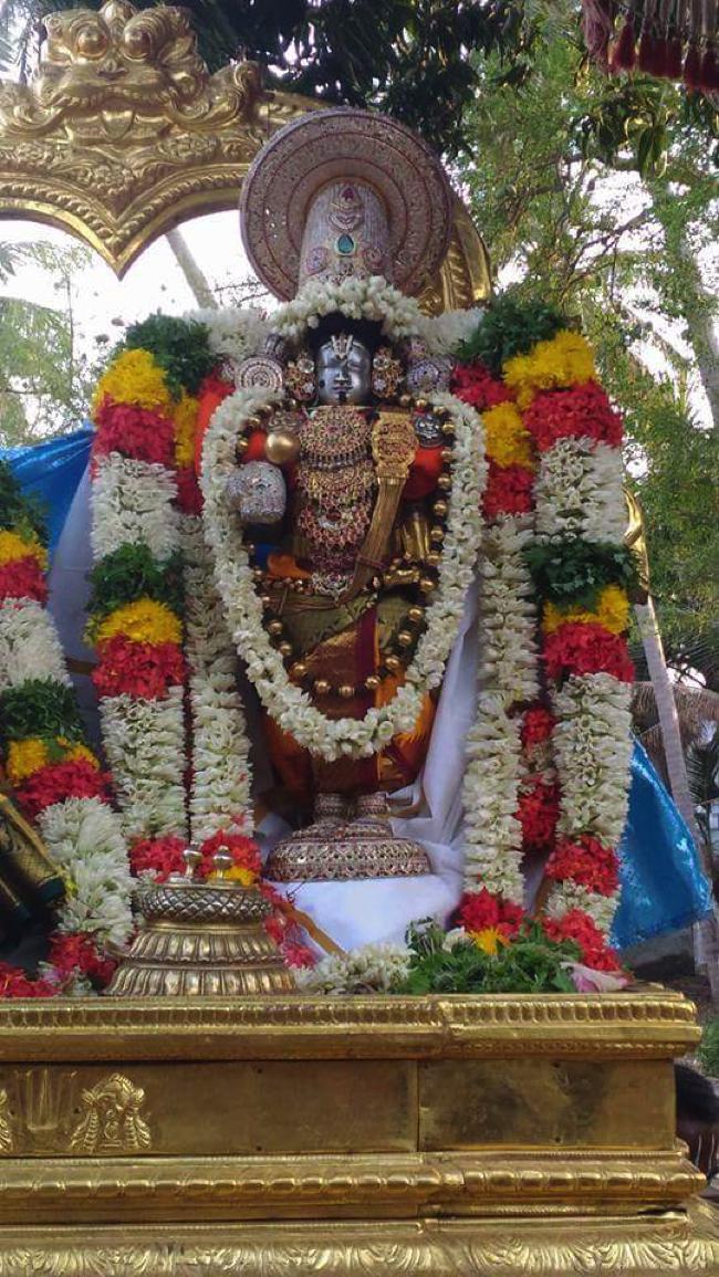 Thirukoshtiyur-Sri-Sowmiyanarayana-Perumal_07