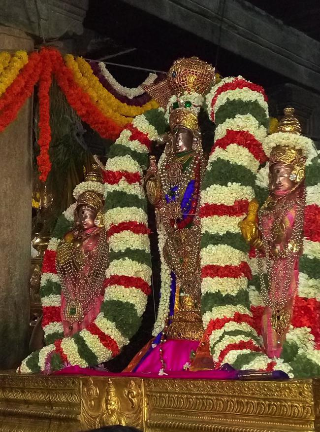 Thirunarayanapuram-Melkote_13