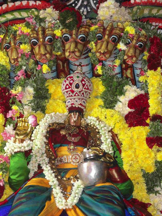 Thirupullani-Adhi-Jagannatha-Perumal_02
