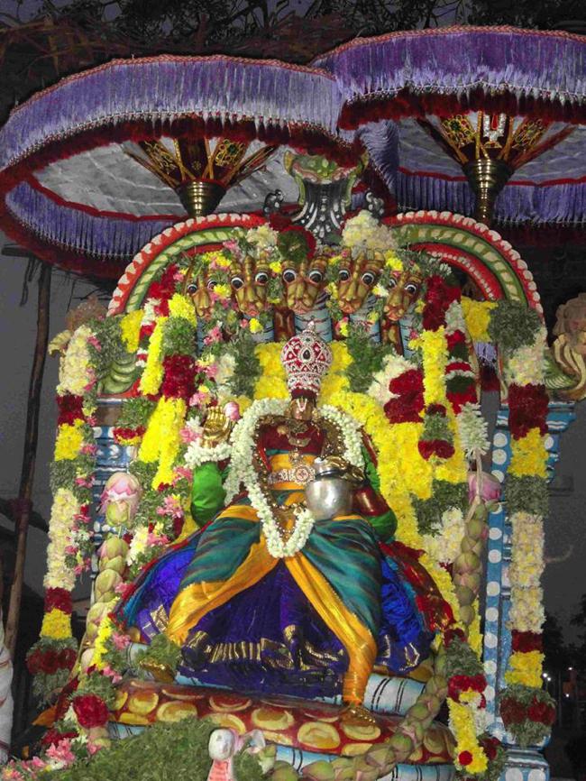 Thirupullani-Adhi-Jagannatha-Perumal_14