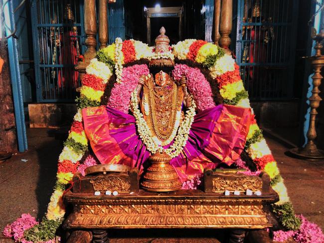 Thiruvahindrapuram-Sri-Devanathan-Perumal_02