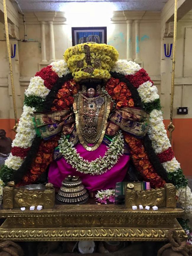 Thiruvahindrapuram-Sri-Devanathan-Perumal_03