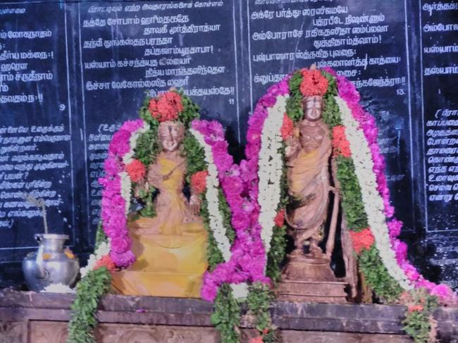 Thiruvahindrapuram-Sri-Devanathan-Perumal_07