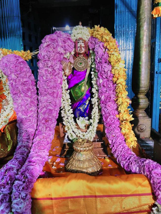 Thiruvahindrapuram-Sri-Devanathan-Perumal_19