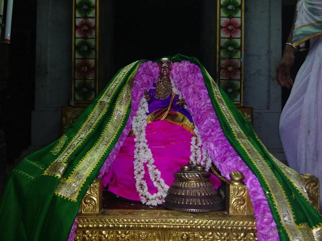 Thiruvahindrapuram-Sri-Devanathan-Perumal_20