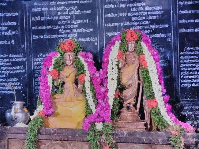 Thiruvahindrapuram-Sri-Devanathan-Perumal_24