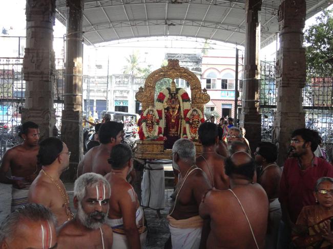 Thiruvallikeni-Sri-Parthasarathy-Swami_00