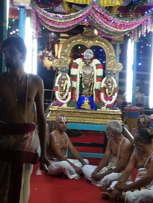 Thiruvallikeni-Sri-Parthasarathy-Swami_00