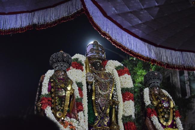 Thiruvallikeni-Sri-Parthasarathy-Swami_02