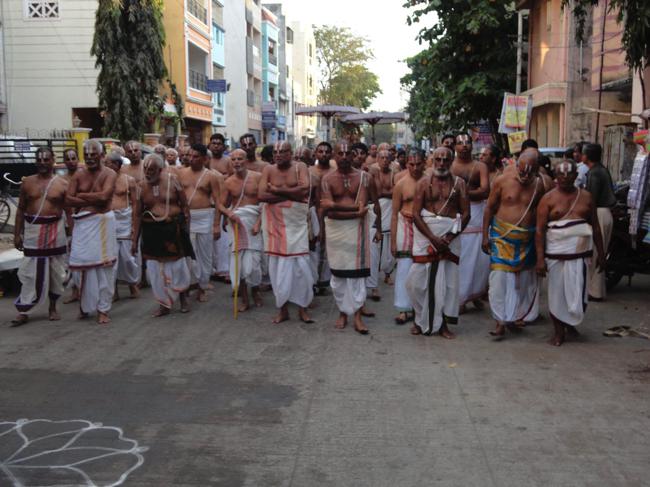 Thiruvallikeni-Sri-Parthasarathy-Swami_03
