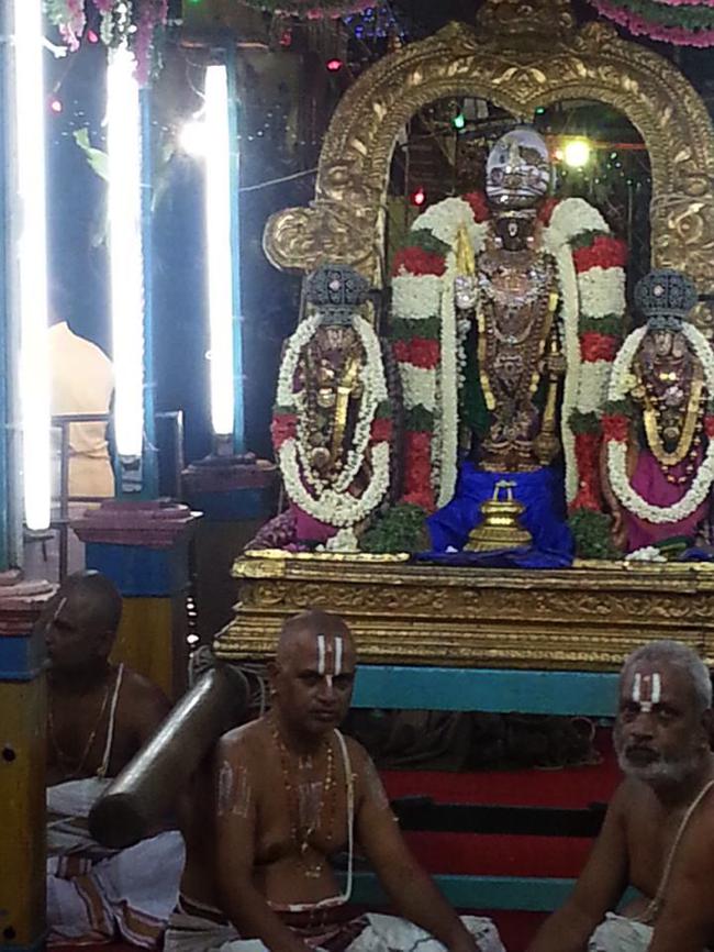 Thiruvallikeni-Sri-Parthasarathy-Swami_04
