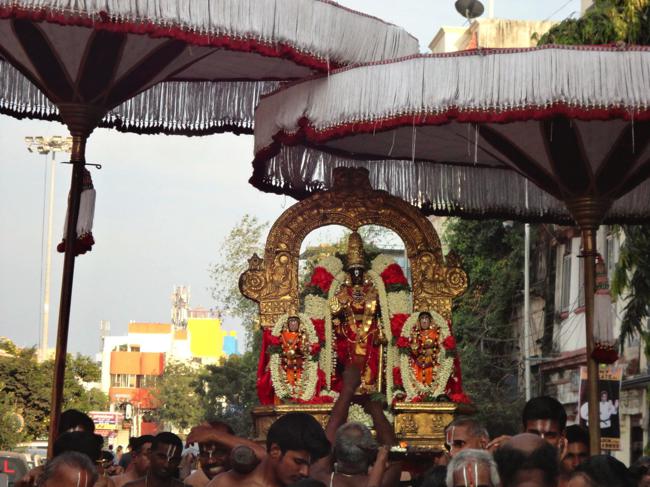 Thiruvallikeni-Sri-Parthasarathy-Swami_05
