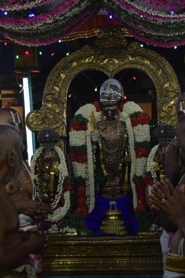 Thiruvallikeni-Sri-Parthasarathy-Swami_07