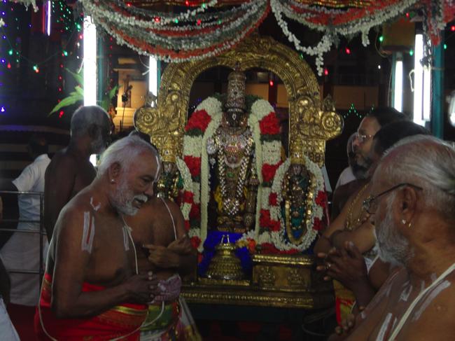 Thiruvallikeni-Sri-Parthasarathy-Swami_10