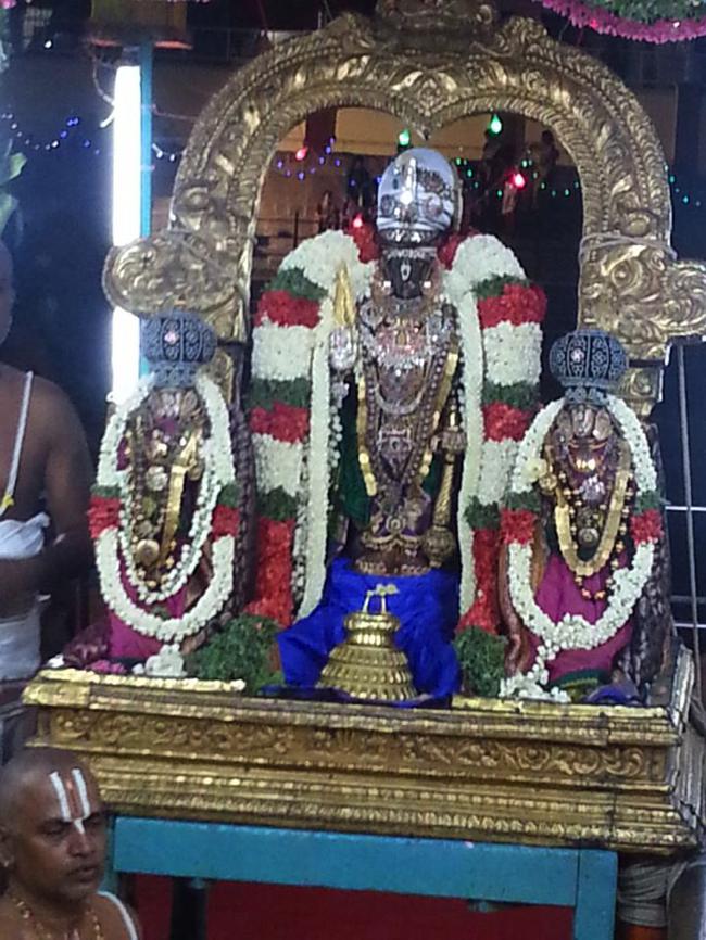Thiruvallikeni-Sri-Parthasarathy-Swami_11