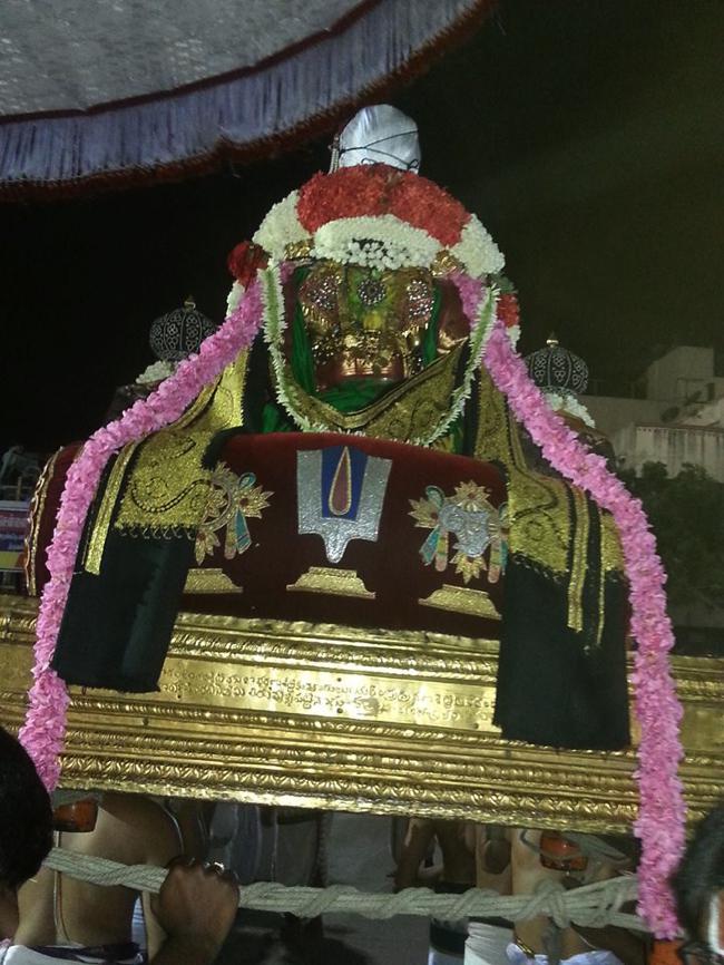 Thiruvallikeni-Sri-Parthasarathy-Swami_12