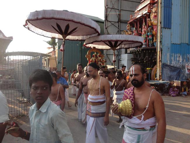 Thiruvallikeni-Sri-Parthasarathy-Swami_14