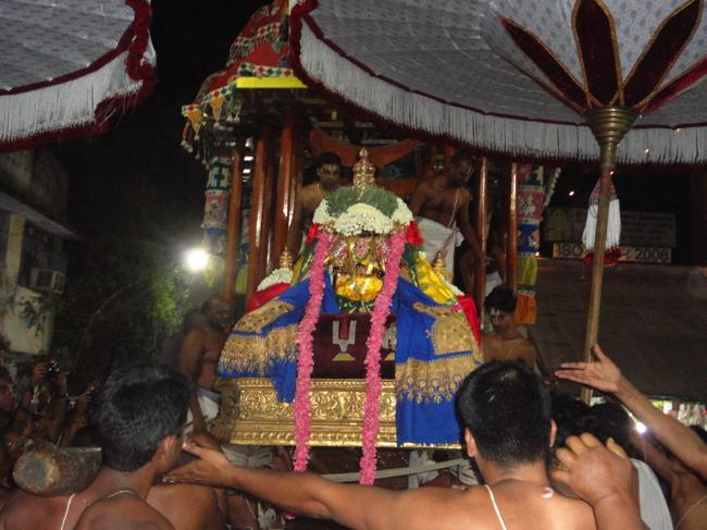 Thiruvallikeni-Sri-Parthasarathy-Swami_15