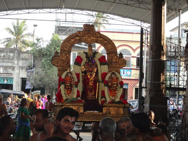Thiruvallikeni-Sri-Parthasarathy-Swami_18