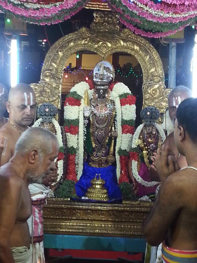 Thiruvallikeni-Sri-Parthasarathy-Swami_22
