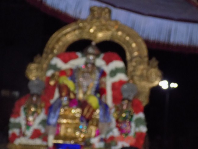 Thiruvallikeni Sri Parthasarathy Swamy Temple Theppotsavam2