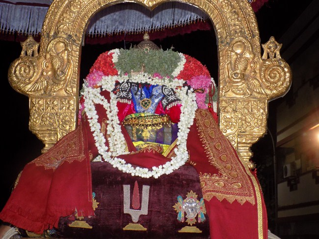 Thiruvallikeni Sri Parthasarathy Swamy Temple Theppotsavam8