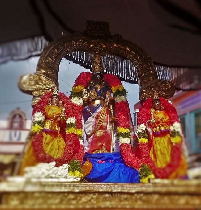 Thiruvallikeni-Sri-Parthasarathy-Swamy_04