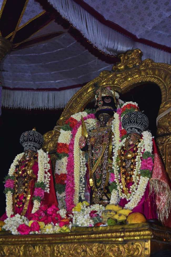 Thiruvallikeni-Sri-Parthasarathy-Swamy_08