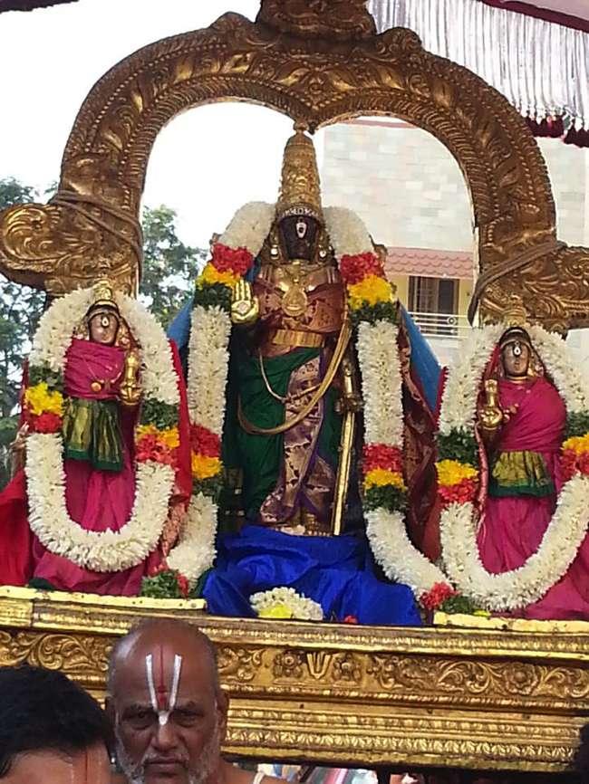 Thiruvallikeni-Sri-Parthasarathy-Swamy_09