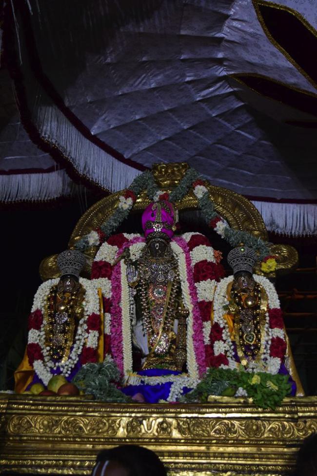 Thiruvallikeni-Sri-Parthasarathy-Swamy_11