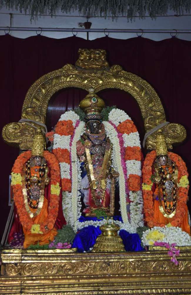 Thiruvallikeni-Sri-Parthasarathy-Swamy_13