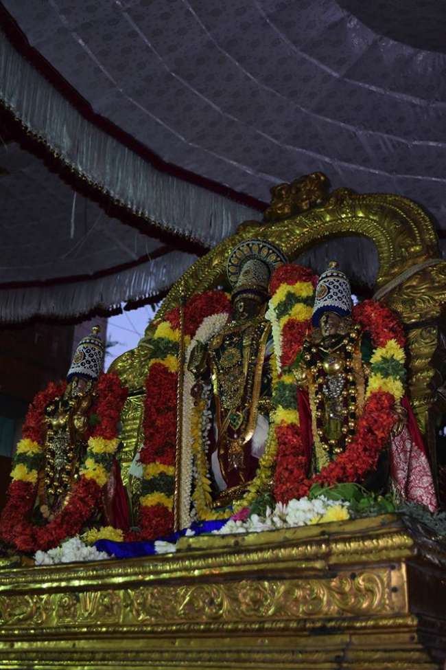 Thiruvallikeni-Sri-Parthasarathy-Swamy_14