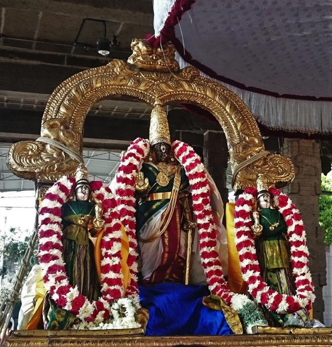 Thiruvallikeni-Sri-Parthasarathy-Swamy_18
