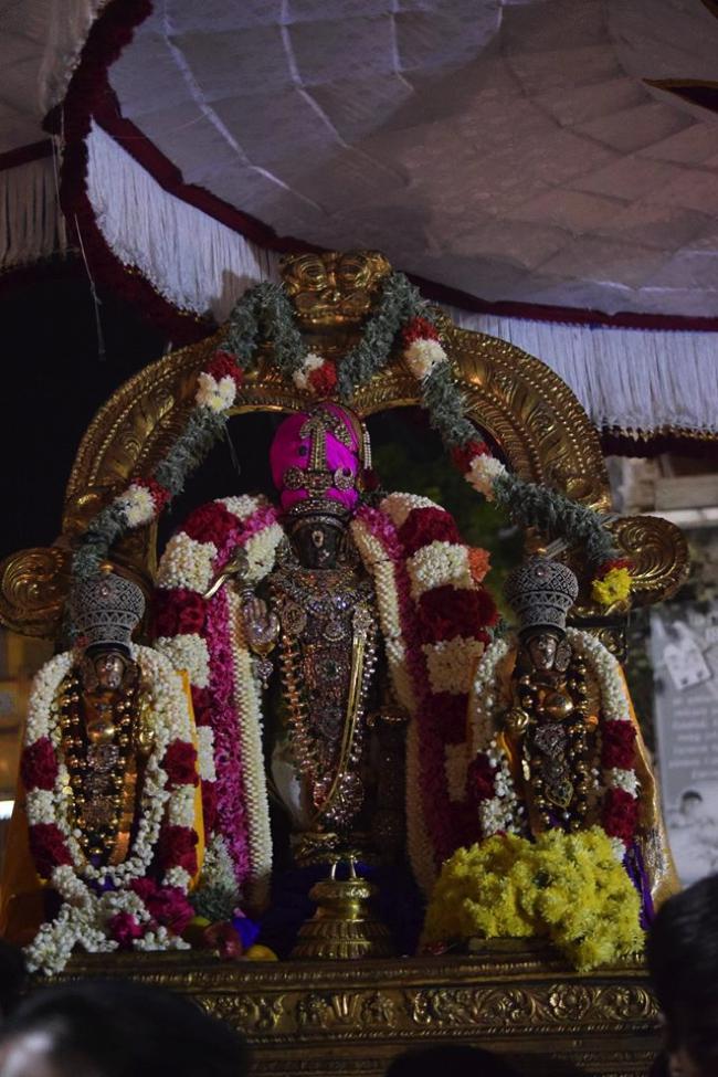 Thiruvallikeni-Sri-Parthasarathy-Swamy_20