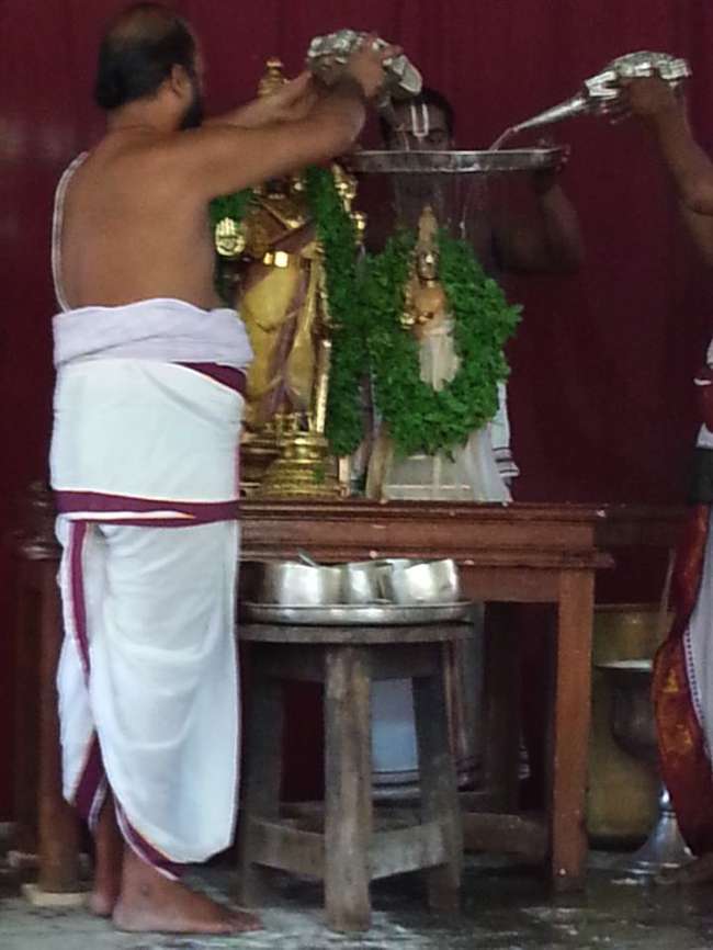 Thiruvallikeni-Sri-Parthasarathy-Swamy_21