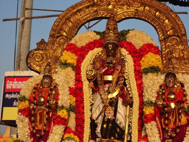 Thiruvallikeni-Sri-Parthasarathy-Swamy_22