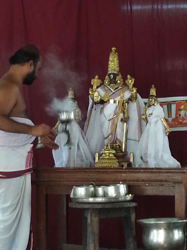 Thiruvallikeni-Sri-Parthasarathy-Swamy_23