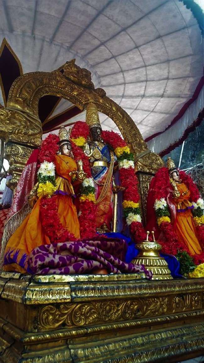 Thiruvallikeni-Sri-Parthasarathy-Swamy_24