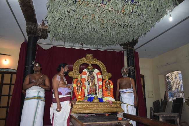 Thiruvallikeni-Sri-Parthasarathy-Swamy_25