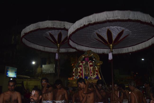 Thiruvallikeni-Sri-Parthasarathy-Swamy_26