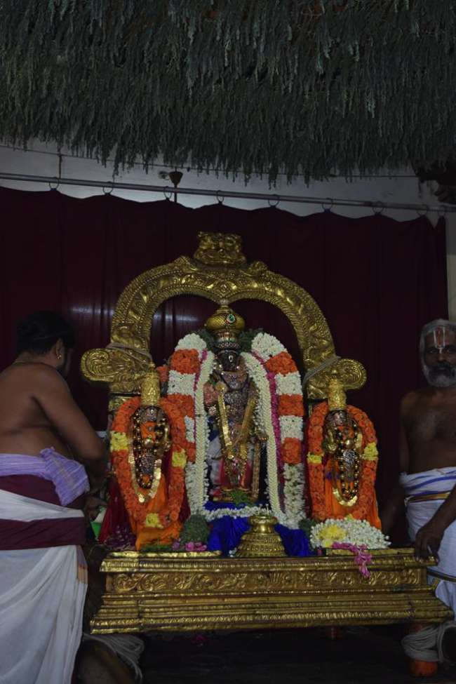 Thiruvallikeni-Sri-Parthasarathy-Swamy_27