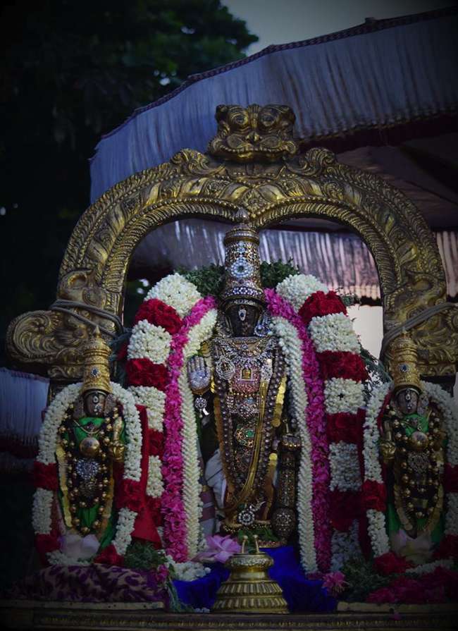 Thiruvallikeni-Sri-Parthasarathy-Swamy_28