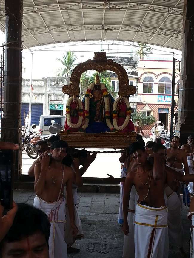 Thiruvallikeni-Sri-Parthasarathy-Swamy_29