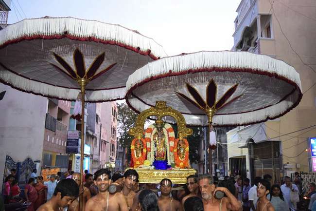 Thiruvallikeni-Sri-Parthasarathy-Swamy_31
