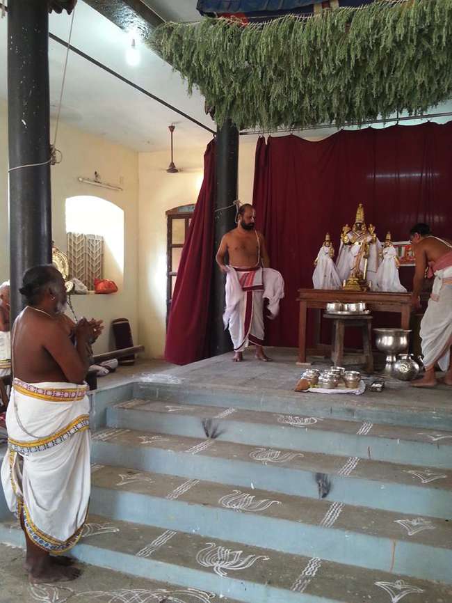Thiruvallikeni-Sri-Parthasarathy-Swamy_32